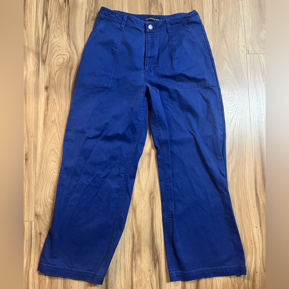 Blue United By Blue wide leg Pants Size 30 EUC